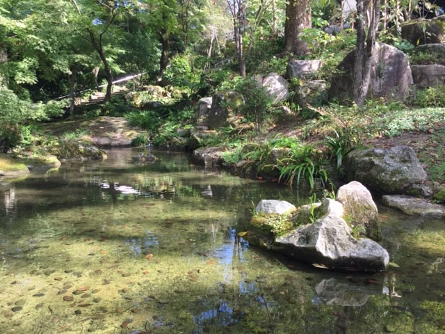 竈門神社にある池