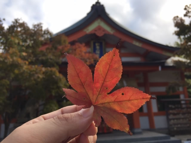 紅葉の葉と拝殿