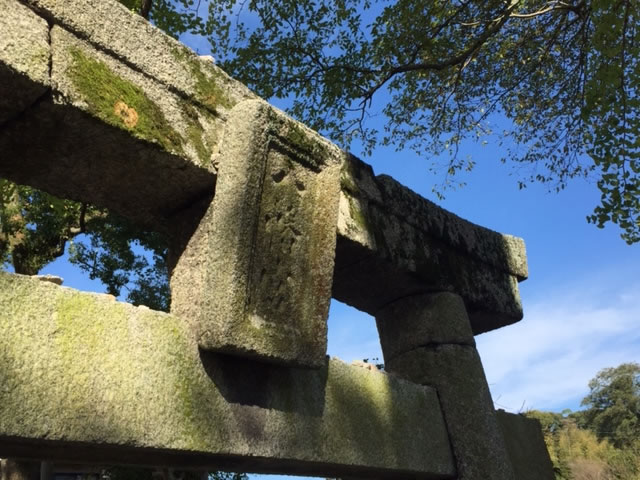 坂本八幡宮の鳥居