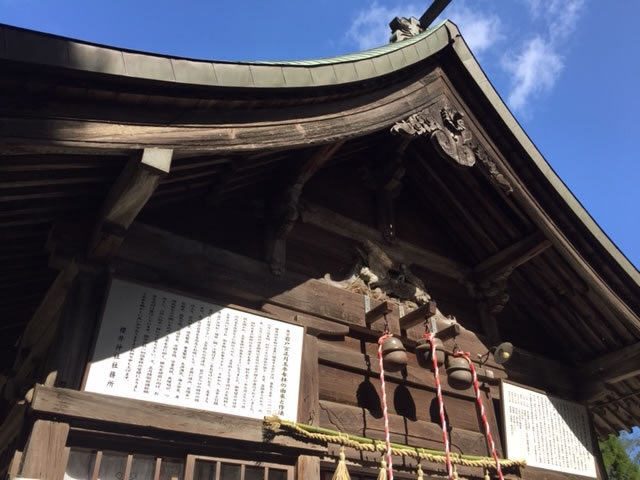 桜井神社の拝殿